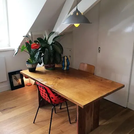 Design Loft In *